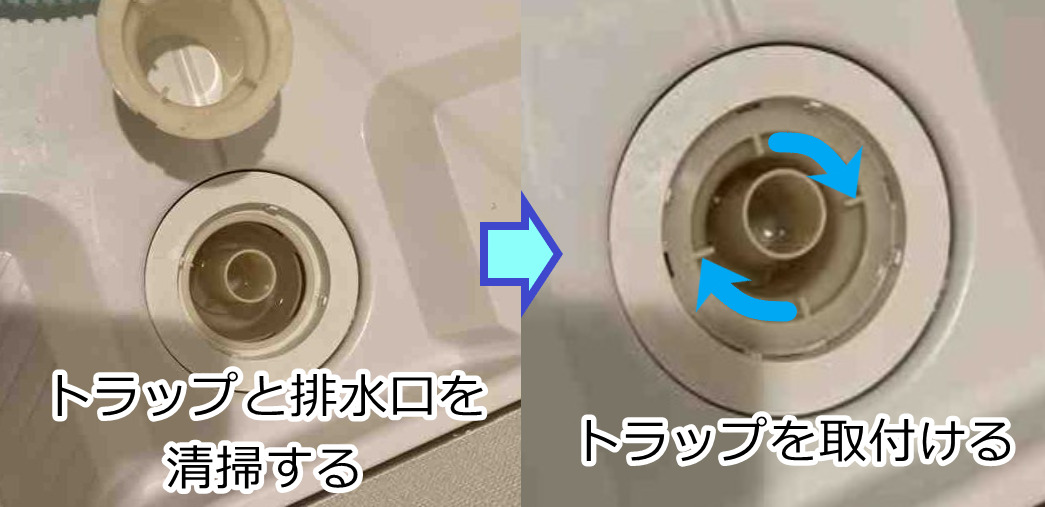 トラップと排水口内を掃除して戻します