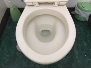 トイレに近い下水マスも確認しましょう