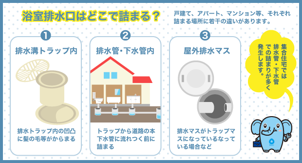 浴室排水口はどこで詰まる？