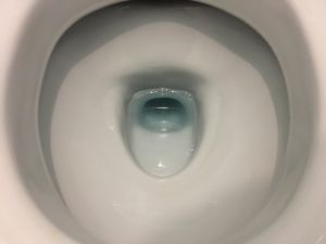 トイレ便器は便器自体がトラップとなっています