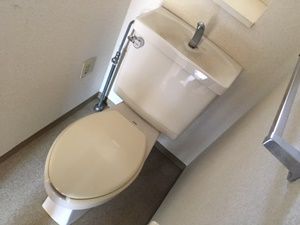 トイレつまりで流れが悪い！排水トラブルの修理方法