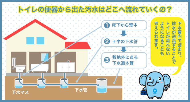 トイレの便器から出た汚水はどこへ流れていくの？