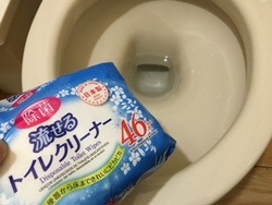 流せるトイレクリーナー