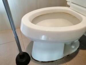 コストコのトイレットペーパーのつまり取りはラバーカップで