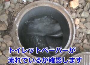 排水マスチェック