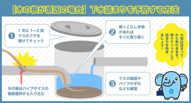 木の根　原因