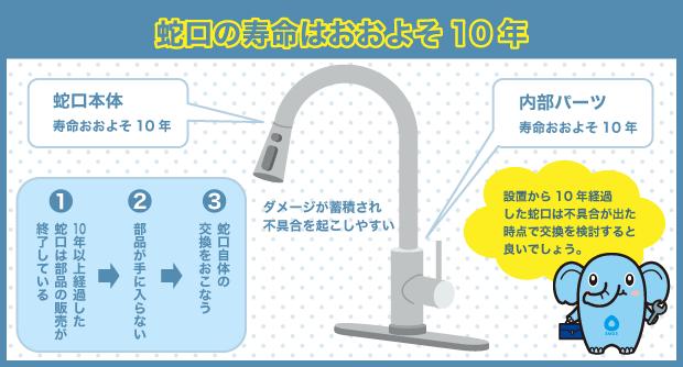 蛇口の寿命　10年