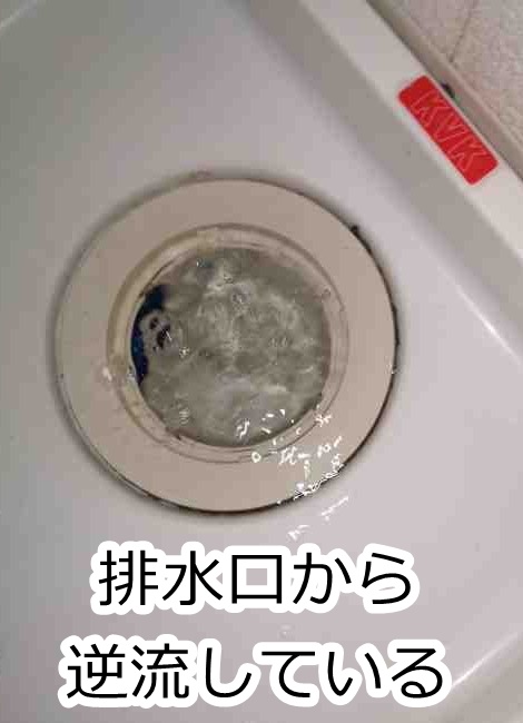 お風呂やトイレを流すと、洗濯場の排水口から逆流する場合